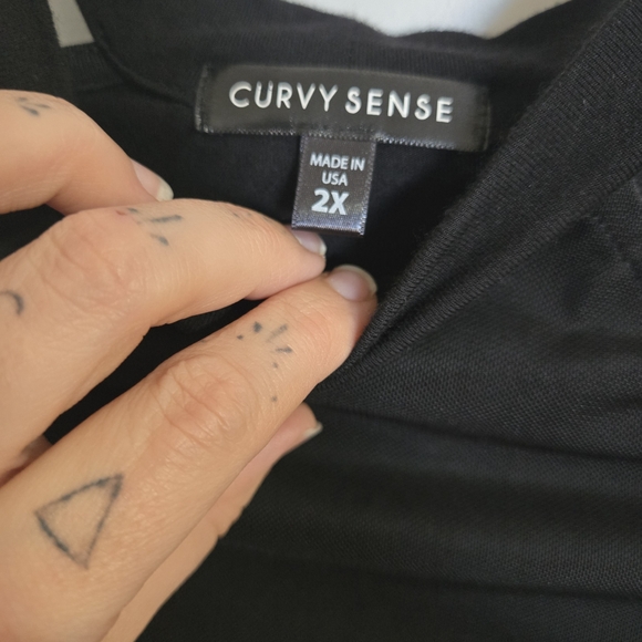 Curvy Sense 1x Chic Black Long Sleeve Women's Top (Size Is 2x ButFits Like A 1x) - Picture 4 of 4